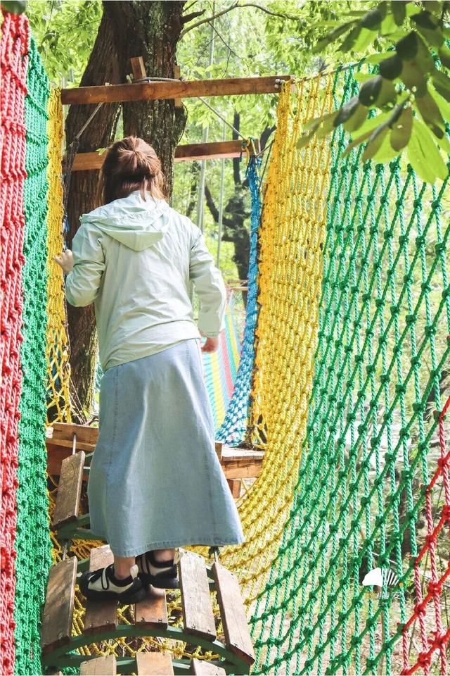 这届春假，临安申请出战！