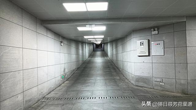 “铁拐李醉鱼”，古澴河消失了的美味——“八仙”孝感奇闻录