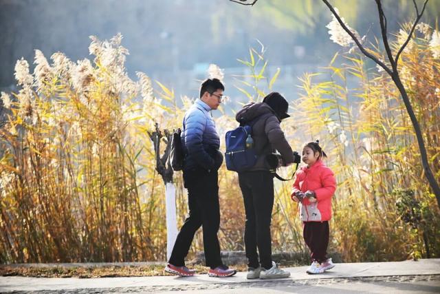 观鸟不必远行，“家门口”就能满足！