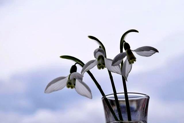 和女人断联后，多半是以下几种情况，很准！