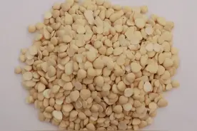 颜陵君话中药：止咳平喘药——苦杏仁图片