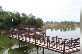 22岁女孩含泪哭诉：嫁给55岁大叔，老牛吃嫩草的生活让我有苦难言图片