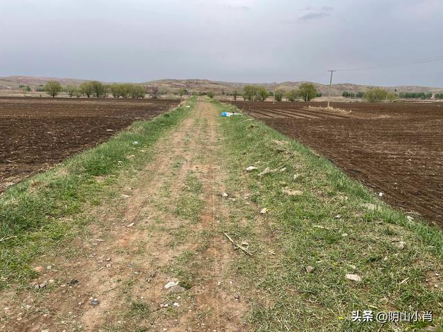 鄂尔多斯市达拉特旗田野考察笔记