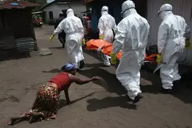 马尔堡病毒：一边发烧一边寒战，把人活生生“融化”图片