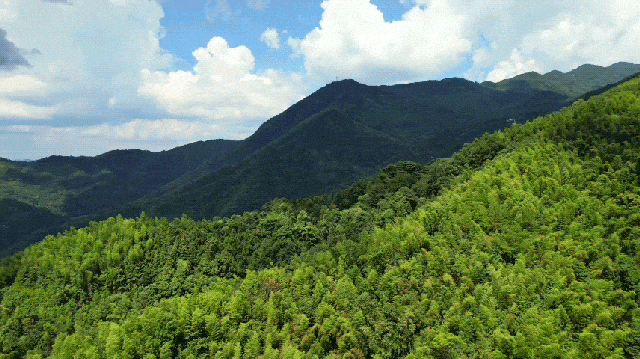 长沙，真的美！