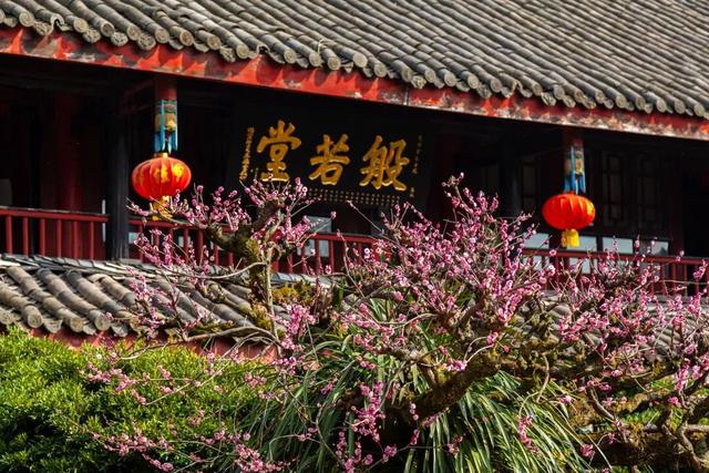 收藏！峨眉山「春日玩耍秘籍」，明天就出发