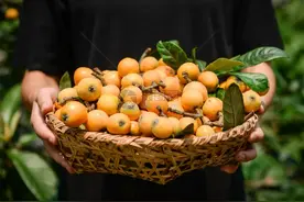 枇杷又成为关注焦点？大夫忠告：枇杷有5大好处，但4类人要注意禁忌！图片