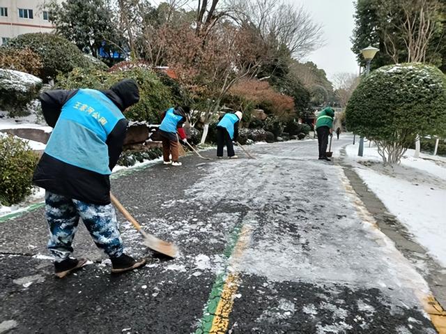 雪落成画，守护为景——他们是王家河公园雪景中动人身影