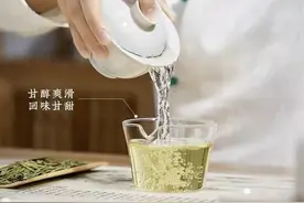 为什么有些茶泡起来又苦又涩？一定离不开这三大原因！图片