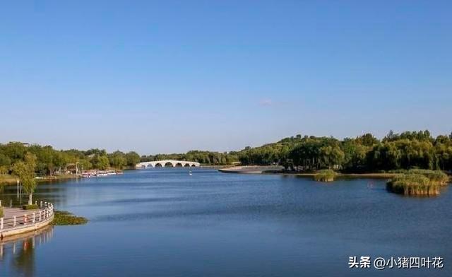 在山东桓台待半年后实话实说：真实情况让人意外