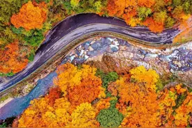 陕南最值得旅游的15个地方，没有去过8个以上，都不算到过陕南图片