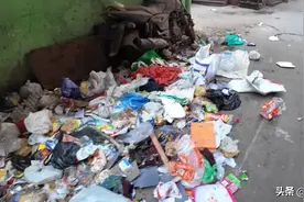 巴西博主结束中国之旅VS在印度旅行 外国网友：求你们还是回中国吧图片