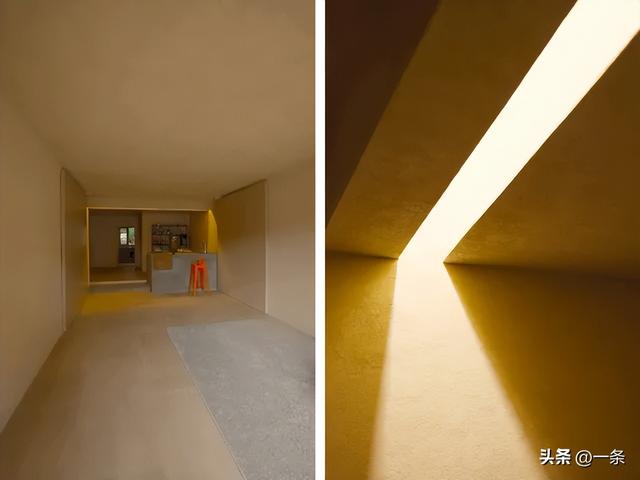 亲历行业寒冬，上海夫妻在老小区一楼改出80m²野地：治愈自己