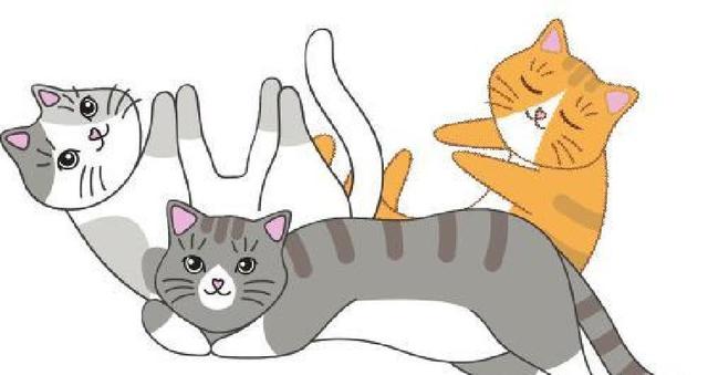 猫咪用头拱你	，原来不是在撒娇！真相让主人们惊呆了