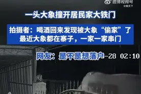 大象深夜撞开铁门闯入居民家中 网友: 是不是想落户图片