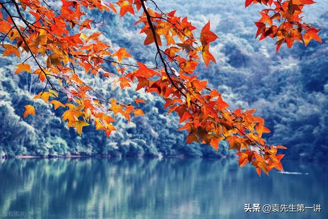 “冷不冷，就看处暑”，今日处暑，今年冬天会很冷吗？看农谚咋说