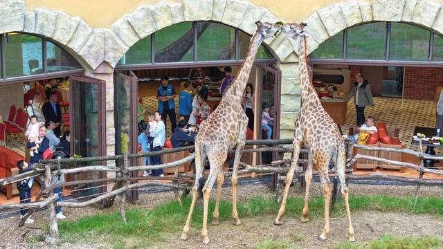 免票！半价！凭电影频道M榜门票，解锁宜昌景区优惠！