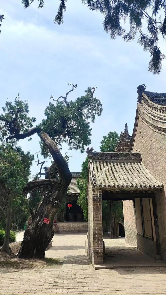 仓颉庙：千年古柏擎苍翠，一荫清凉沁汉魂