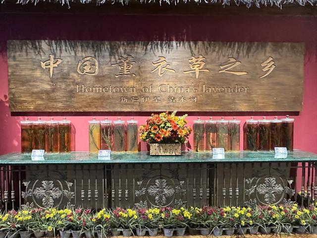 印象新疆——薰衣草园和天山花海