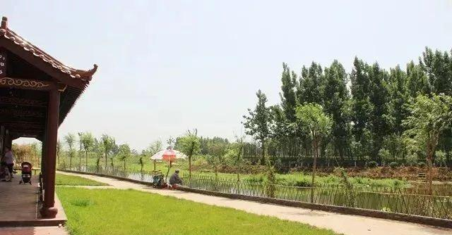 滕州冷门秘境｜人少景美还免费，本地人私藏的4个小众地，避开人