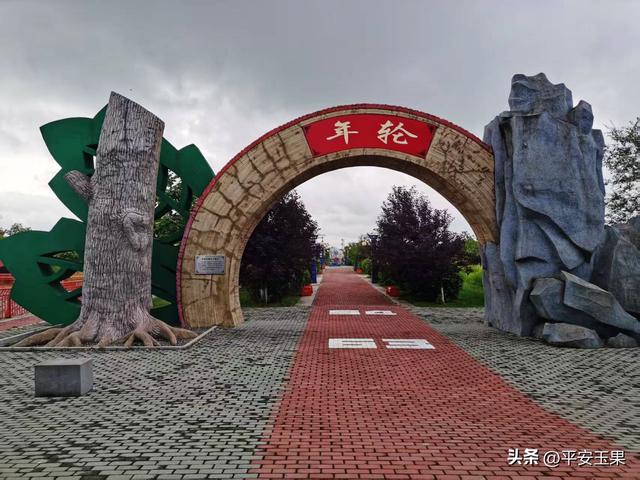 东方红，我拿什么来爱你（上） “东方红”名字的起源