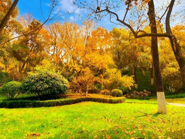 西安周末好去处——初冬8处宝藏公园免费又好玩！