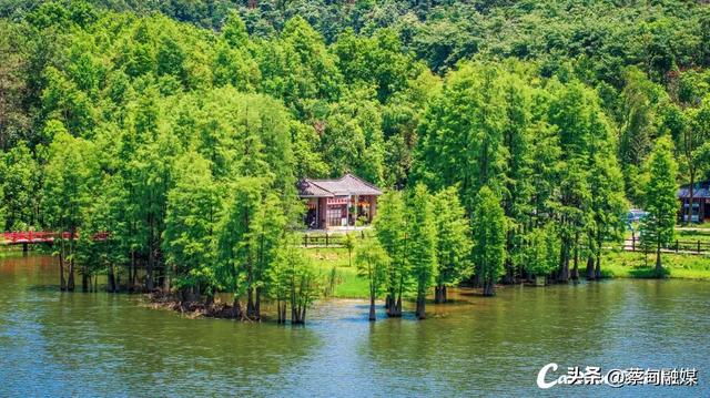 清明假期就来武汉蔡甸永安,3条线路带你体验“山系生活”!