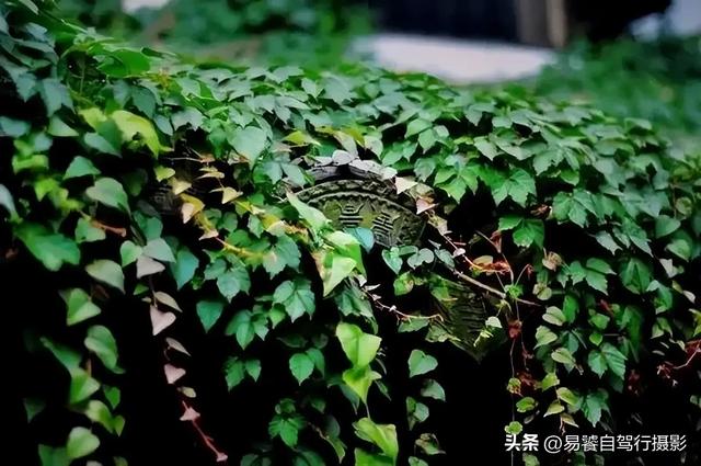 震撼！故宫瓦当，紫禁城守望者；中式美学老屋瓦当 只有中国人才懂