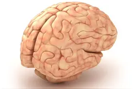 大脑开始萎缩时，身体通常会出现六个明显反应，别再忽视了！注意图片