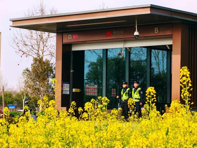 护航牡丹文化节丨黑的白的红的黄的紫的绿的蓝的