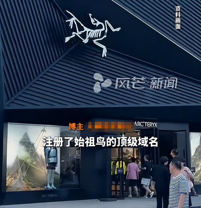 蔡国强烟花秀后续：始祖鸟更多黑料被扒，买走顶级域名却不付钱