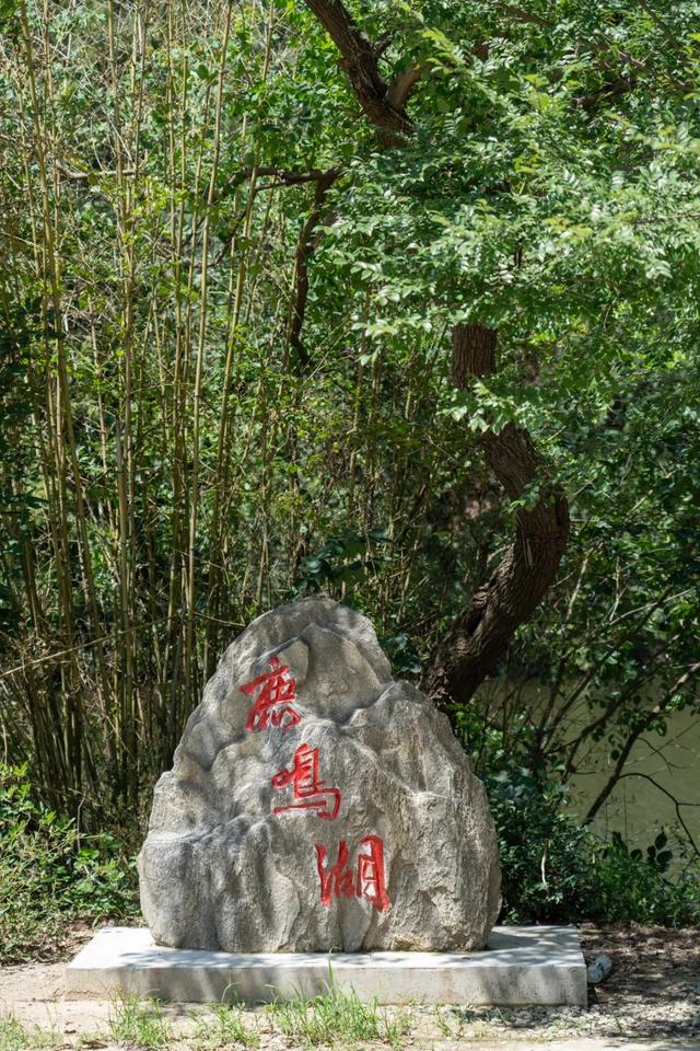 遇鹿山庄：与鹿同栖，住进李白诗中的「星野山居」