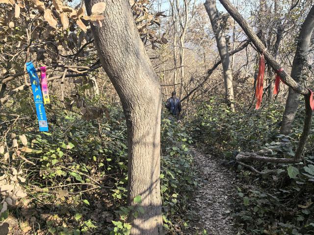 南京老山郊野一日徒步，从狮子岭兜率寺到汤泉惠济寺
