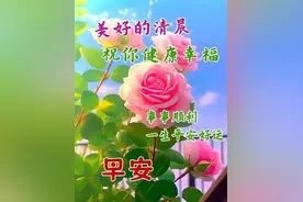 早安心语，春日之晨，送去我的祝福，愿你好运相伴，幸福安康图片