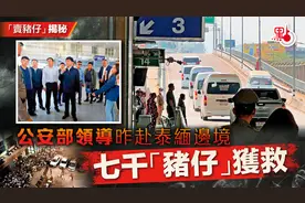 公安部领导昨赴泰缅边境 七千“猪仔”获救！图片