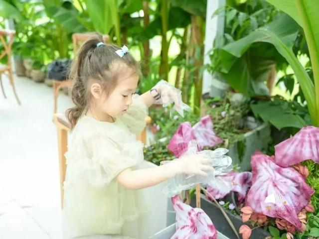 这届春假，临安申请出战！