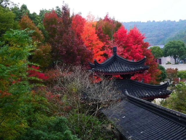 从1公里到33公里,苏州15座山全强度登山攻略!