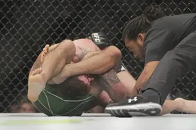 NPD祸害BPD走散了；而高能量BPD却能绞杀NPD。图片