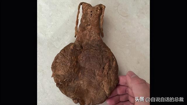 花胶十萬元一斤系什麼胶 2026年一百多一斤的花胶