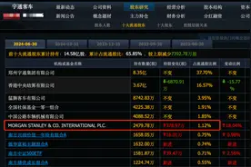 刚刚，摩根士丹利悄悄抄底这8个股票，高盛瑞银跟买，股价走强图片