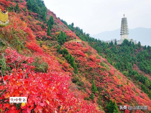 三峡红叶景区游玩攻略2025