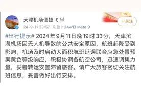 无人机“黑飞”隐患：从天津机场事件看合规飞行的重要性图片