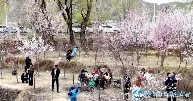 临夏县：莲湖盛景迎佳客