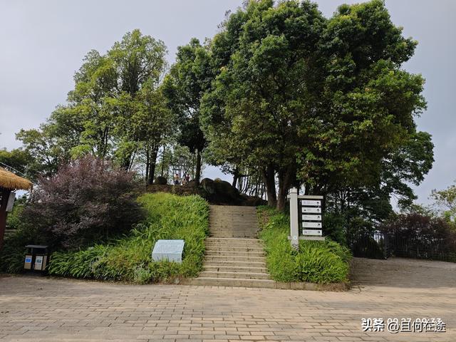 帽峰⼭:山顶有广州最古老岩石，这里红叶，为何在9月就如此红艳？