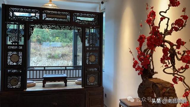 湾里揽胜:蟠龙峰下茶养云