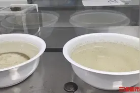 今年蚊子不是变少了只是热“懒”了图片