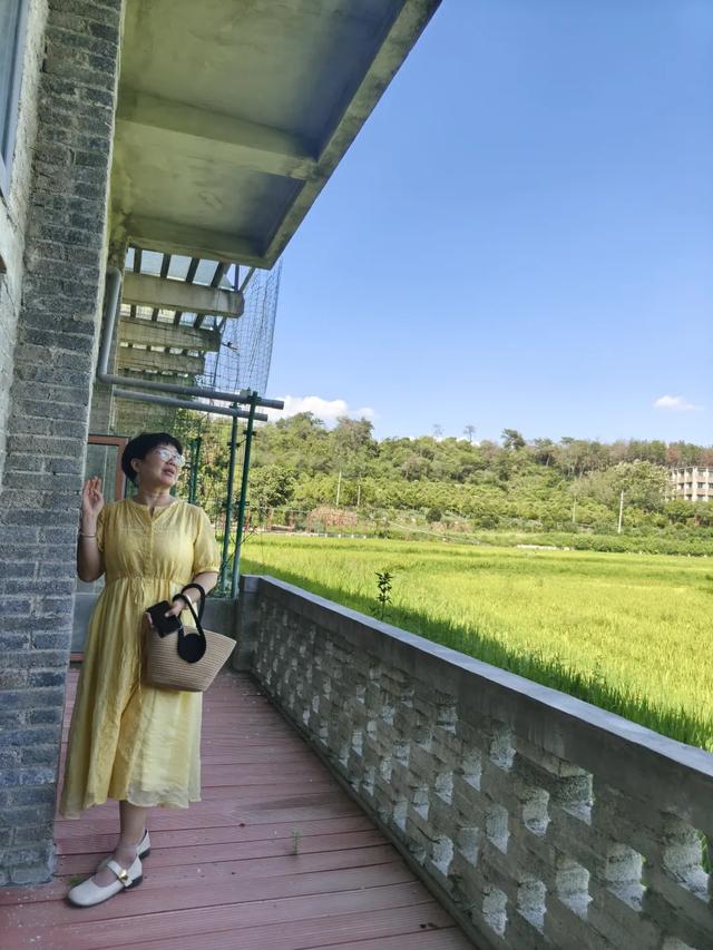 秋风起，栾花入梦来