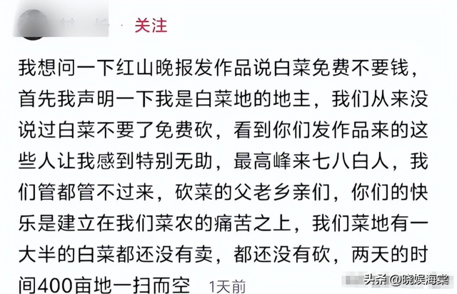 200亩白菜遭哄抢后续：损失超百万，菜农发声	，更过分的还在后面