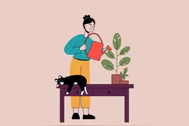 惊人的婚姻潜规则：夫妻关系的本质，就4个字图片