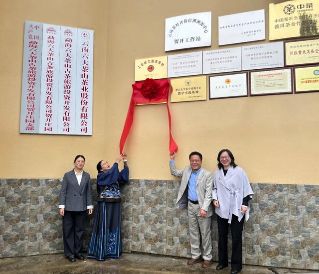 来一次古茶山之旅,去读懂贺开十五年的光阴故事